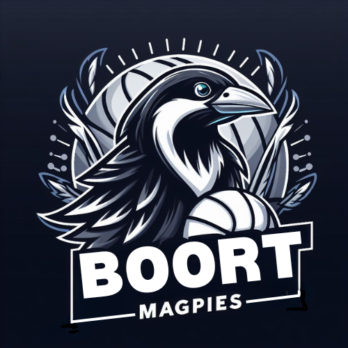 Boort Football Netball Hockey Club