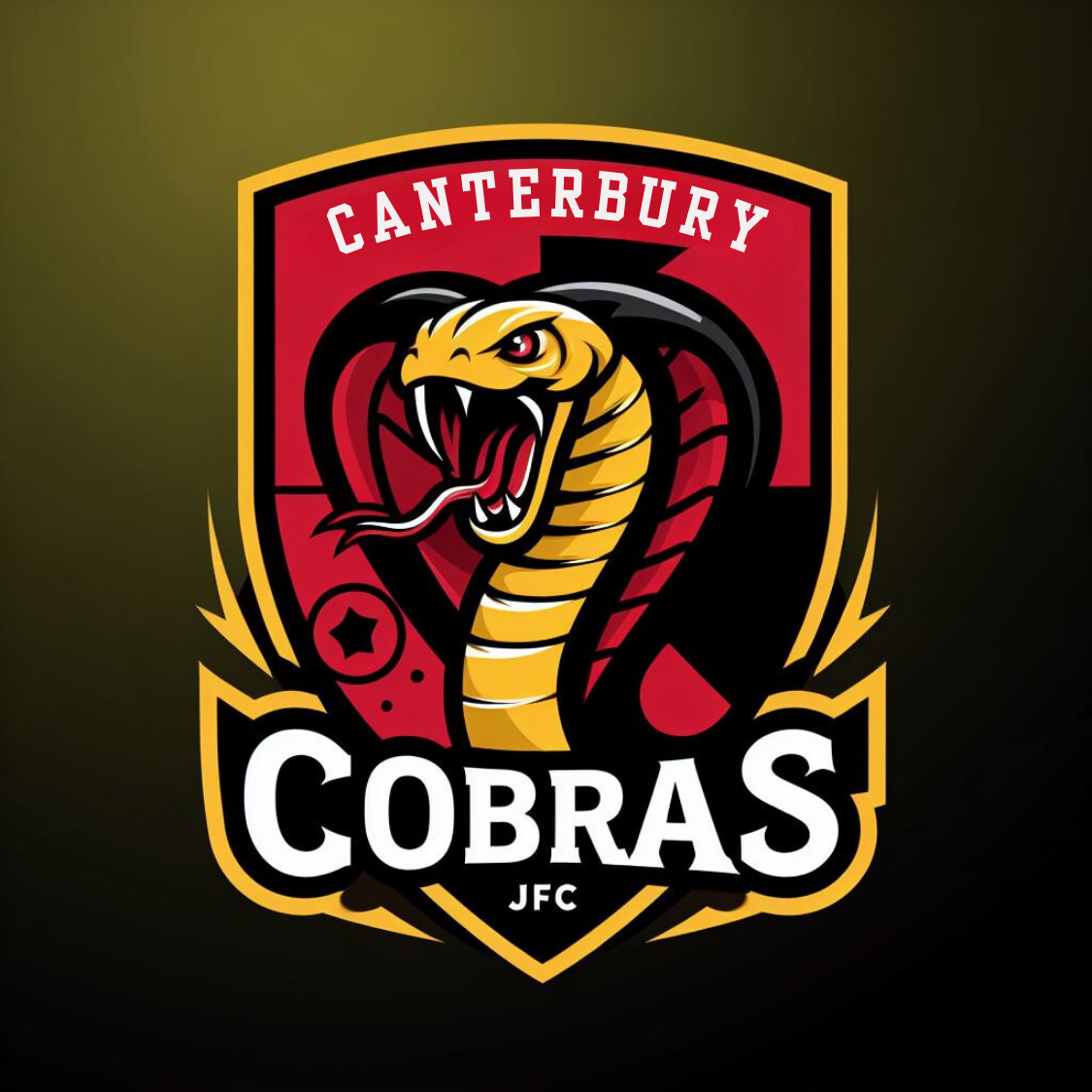 Canterbury Junior Football Club