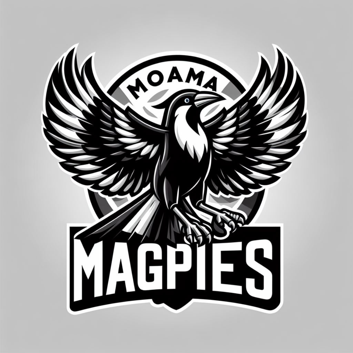 Moama Football Netball Club